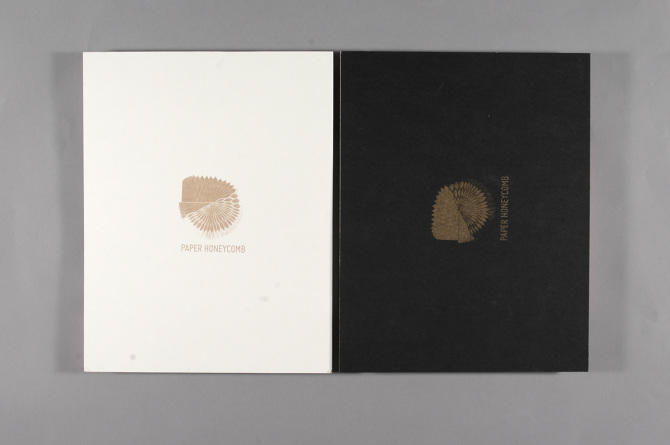 Paper Honeycomb – Experiential Design Project