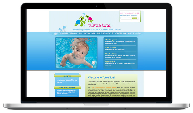 Web Design – Turtle Tots